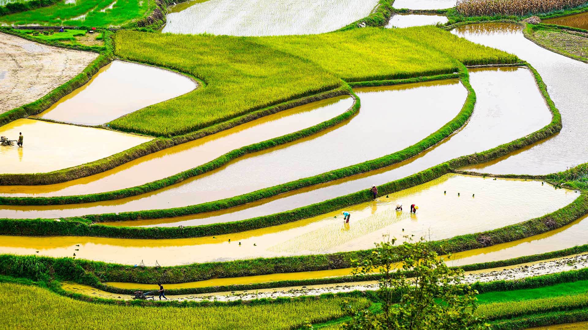 Voyage à moto au Vietnam via la boucle de Ha Giang en 12 jours : 1 360 km en Royal Enfield Himalayan ou Scram 411 cc. - Jour 9 : Bac Son - Hanoï : 155 km - Jour 9: Bac Son - Hanoi: 155 km
