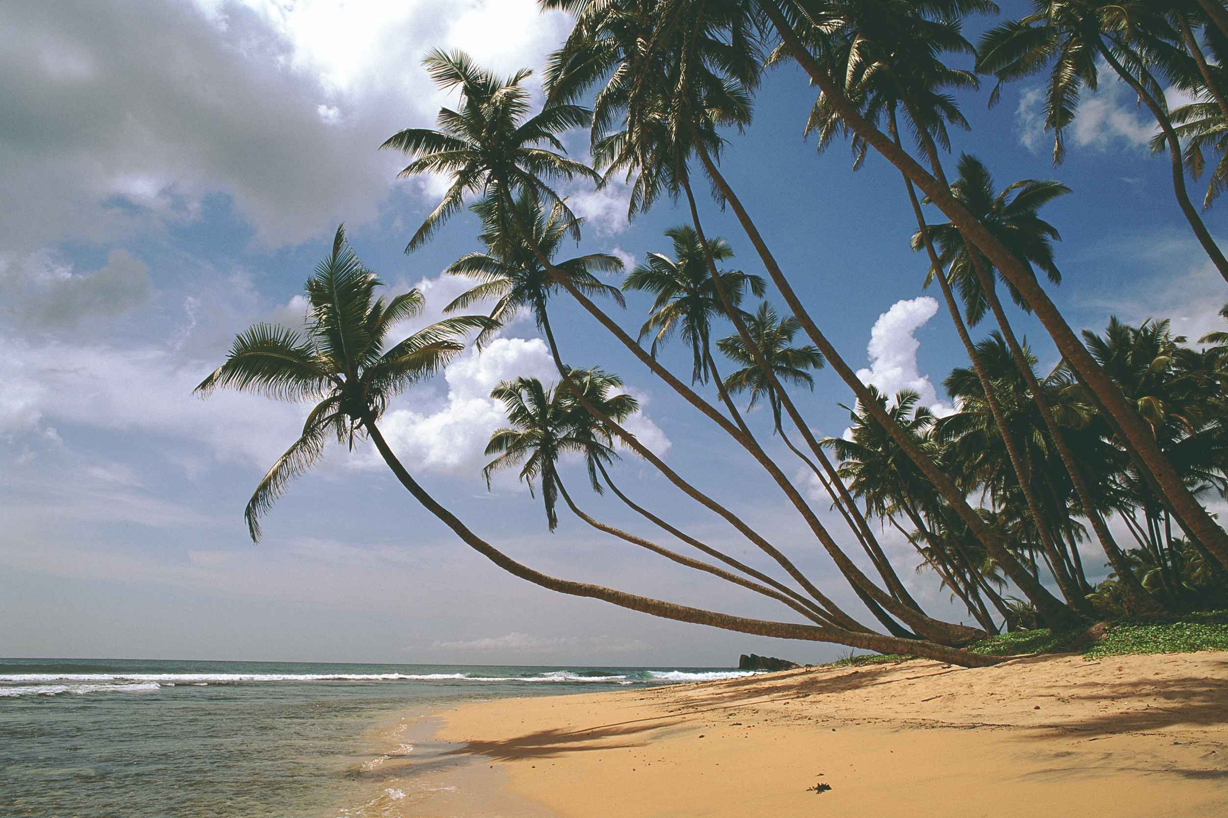 Nature et villages du Sri Lanka - AÉROPORT - NEGOMBO : Bienvenue au Sri Lanka ! - AEROPORT - NEGOMBO : Bienvenue au Sri Lanka!