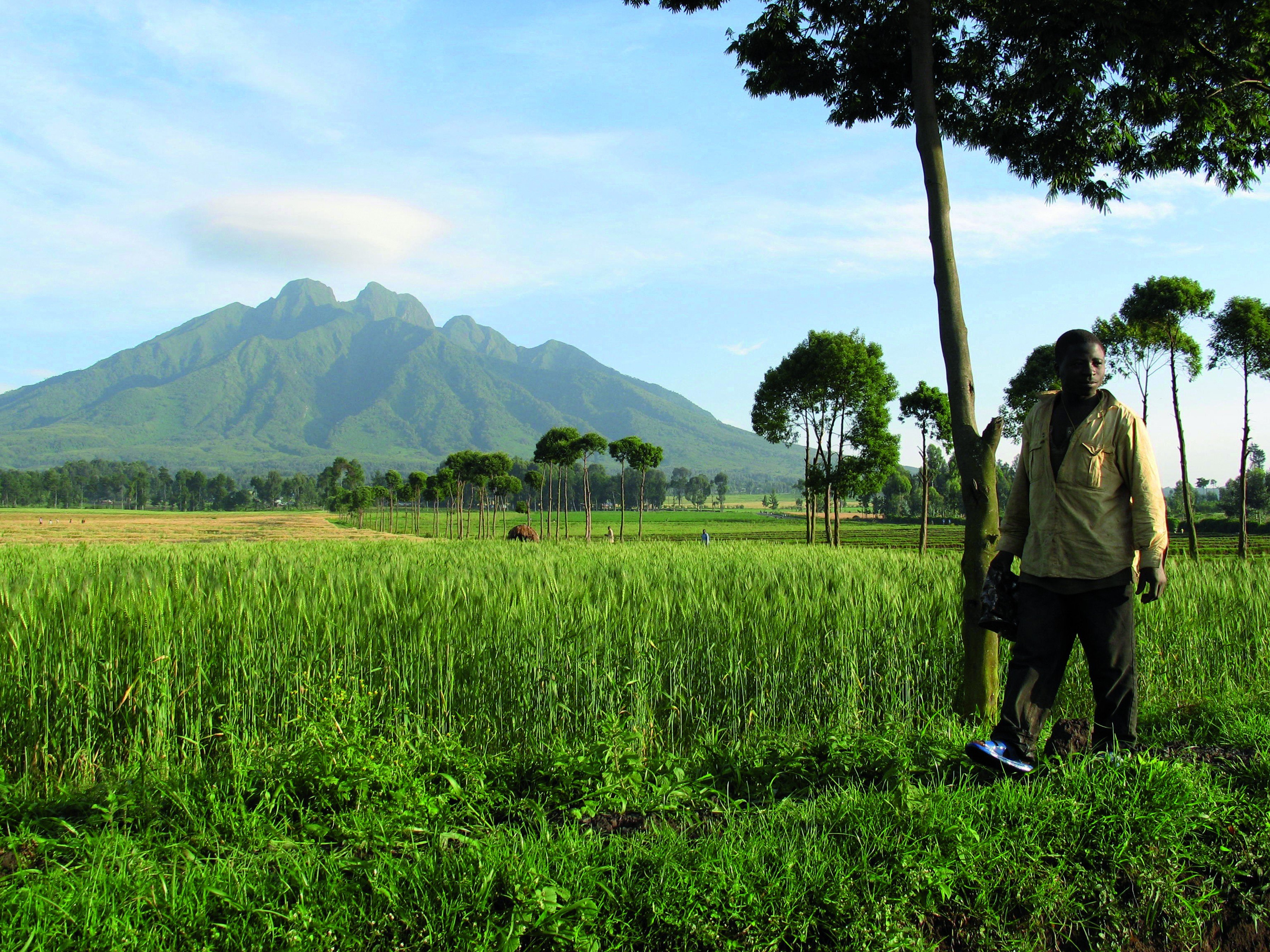 14-day adventure trip: discover Rwanda. - The ascent of the Bisoke trail in the volcanoes. - La montée du sentier de Bisoke dans les volcans