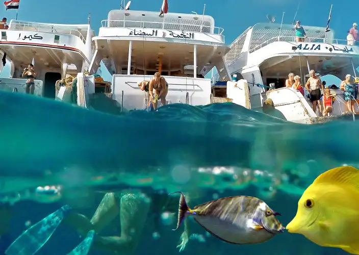 🌟 Discover Egypt: Cairo, Aswan, Luxor & Hurghada - Enjoy Hurghada activities. - Photo of the day