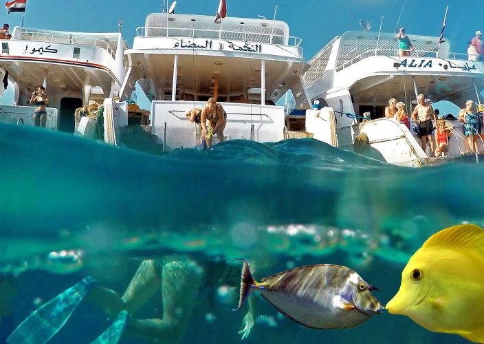 🌟 Discover Egypt: Cairo, Aswan, Luxor & Hurghada - Enjoy Hurghada activities. - Photo of the day