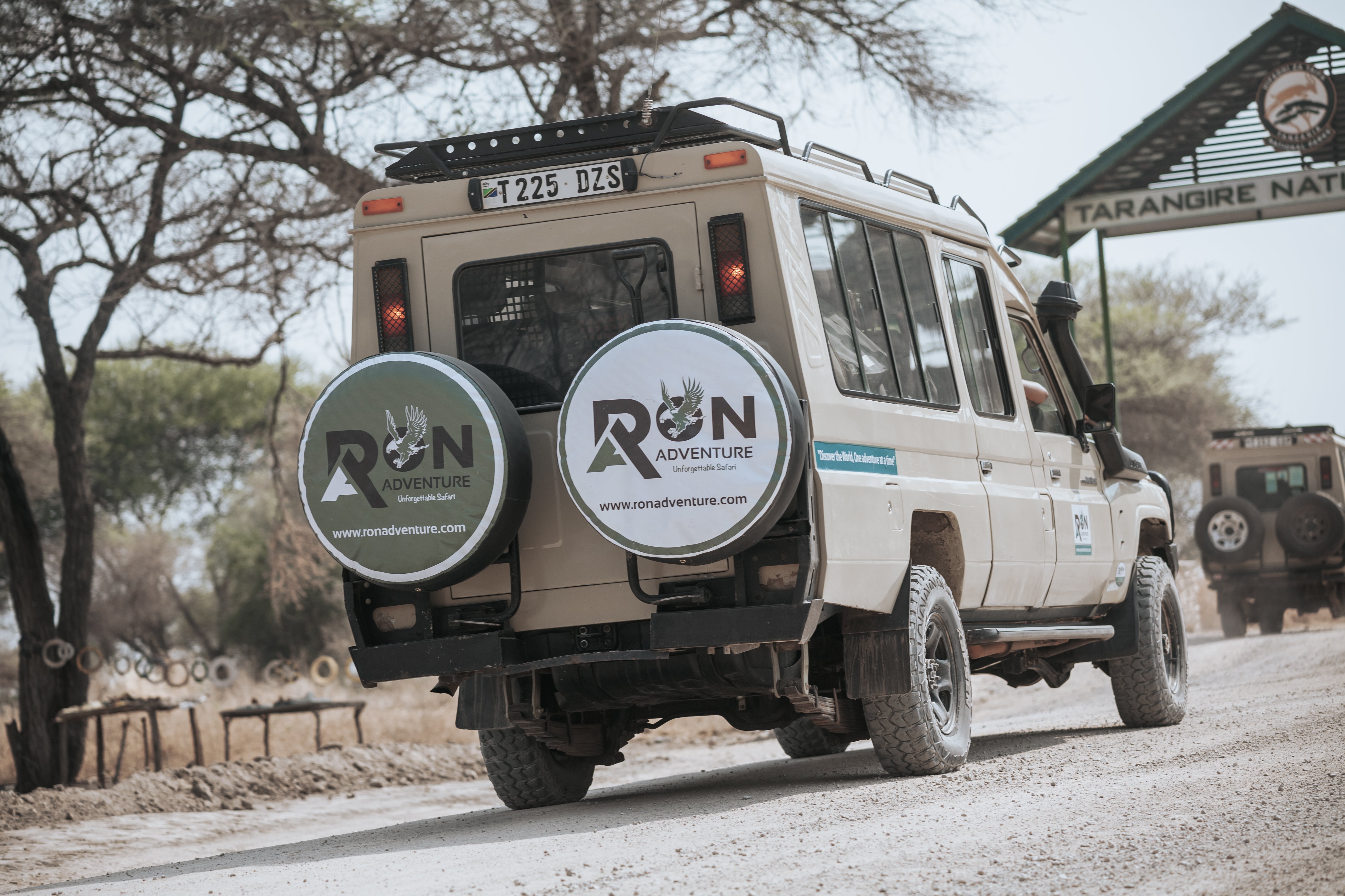 5 Días de Safari de la Temporada de Parto en Ndutu desde Zanzíbar - Tour del Cráter del Ngorongoro – Arusha – Zanzíbar - Foto del día