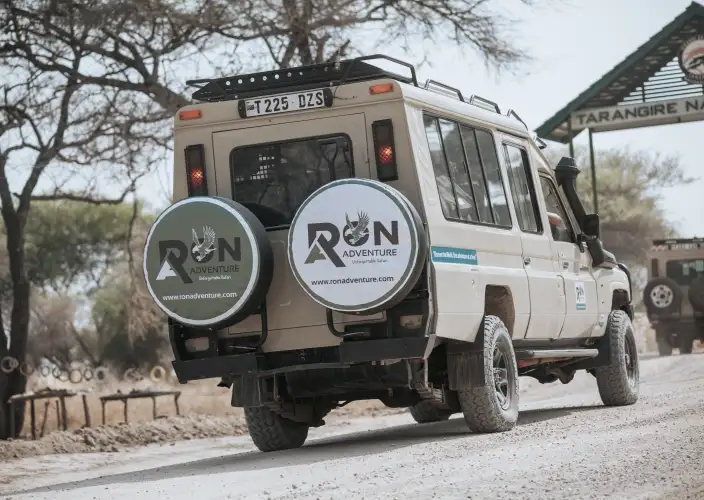 5 Días de Safari de la Temporada de Parto en Ndutu desde Zanzíbar - Tour del Cráter del Ngorongoro – Arusha – Zanzíbar - Foto del día