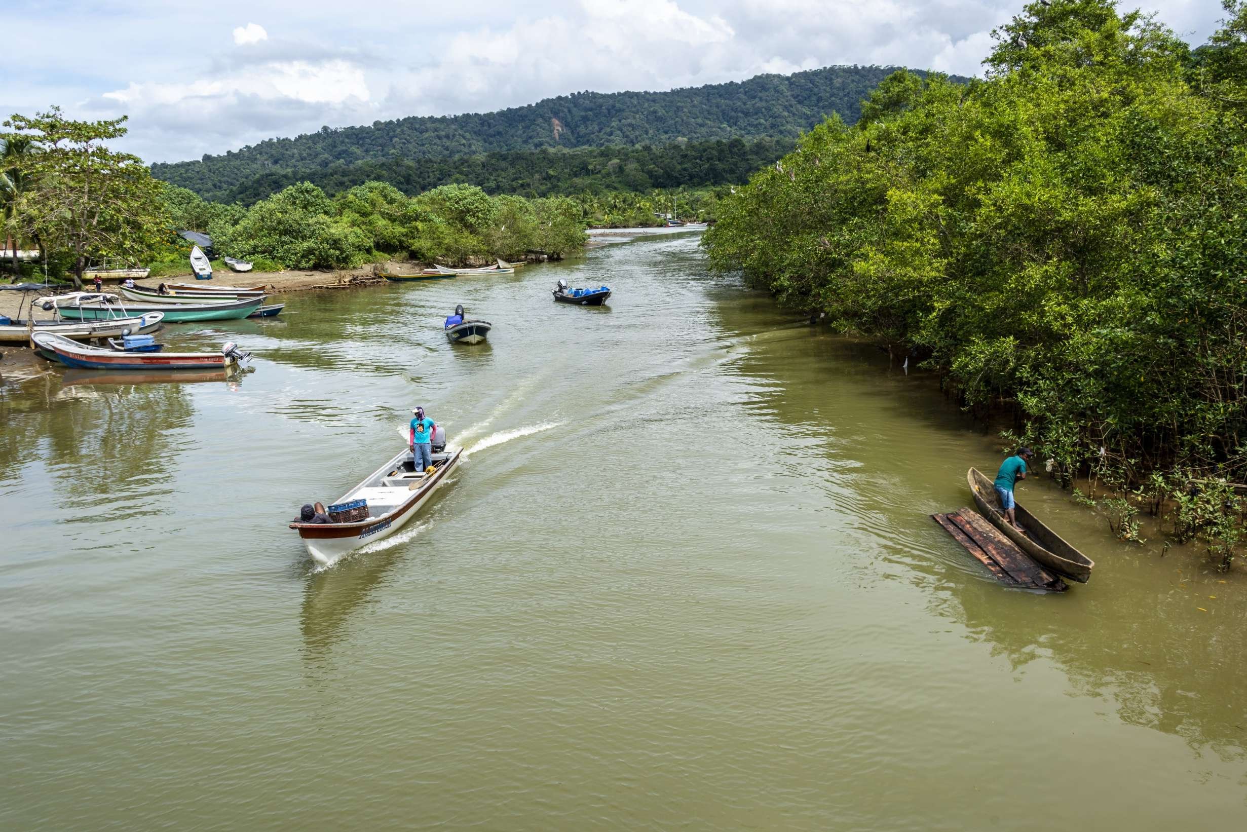 Ontdekking van de Colombiaanse wortels - 21 dagen - Bahia Hondita, zijn mangroven en flamingo's - Bahia Hondita, ses mangroves et flamands roses