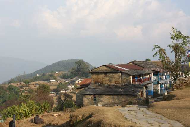 Trek to the Annapurna Base Camp