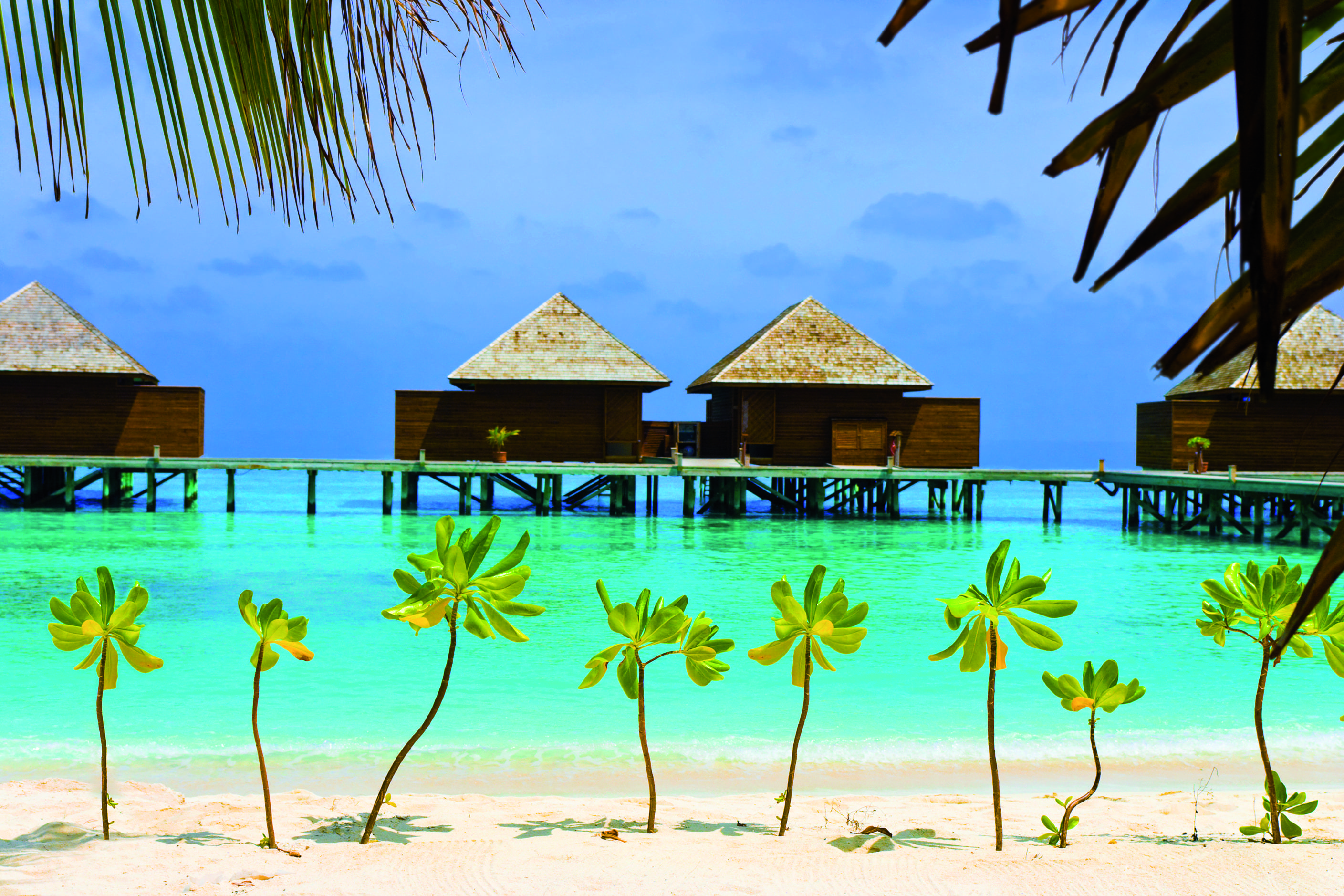 Een reis die je niet mag missen! - MALDIVEN - MALDIVES