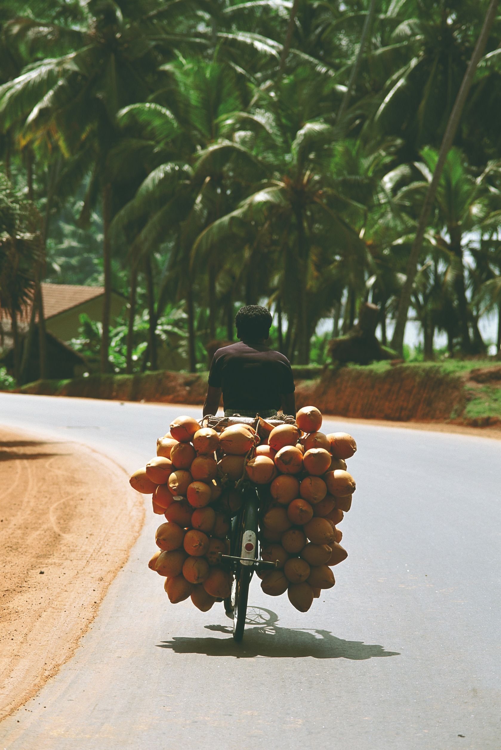 17 días descubriendo el auténtico Sri Lanka - Negombo Colombo Aeropuerto - Negombo Colombo Aeroport