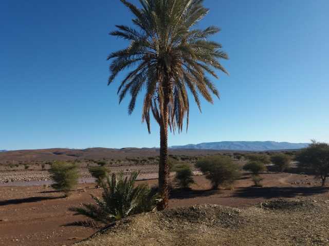 6-day trek in the heart of Jebel Saghro