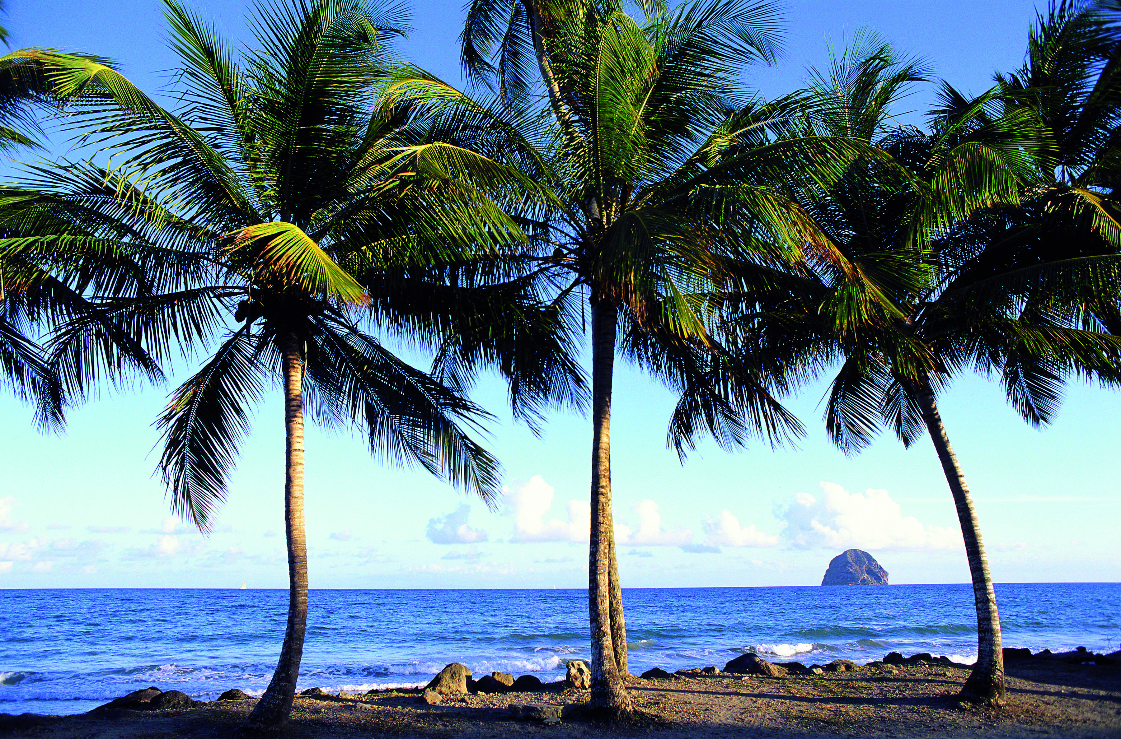 Escapade de charme devant la mer des Caraïbes - Relaxation et nage avec les tortues (Martinique) - Relaxation et nage avec les tortues  (Martinique)