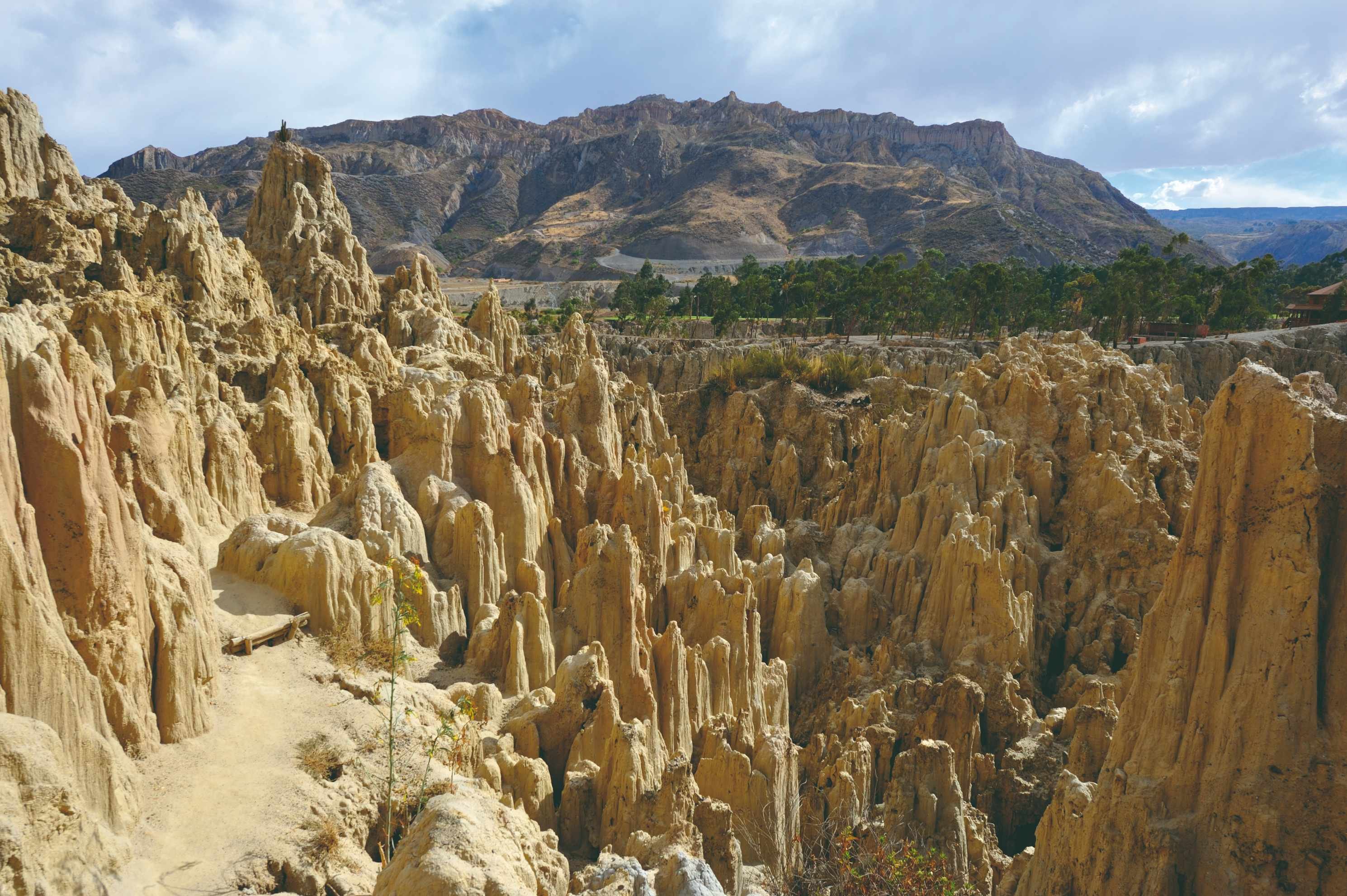Gecombineerde Peru-Bolivia - Uyuni, rotsvallei, Villamar. - Uyuni, vallée des roches, Villamar
