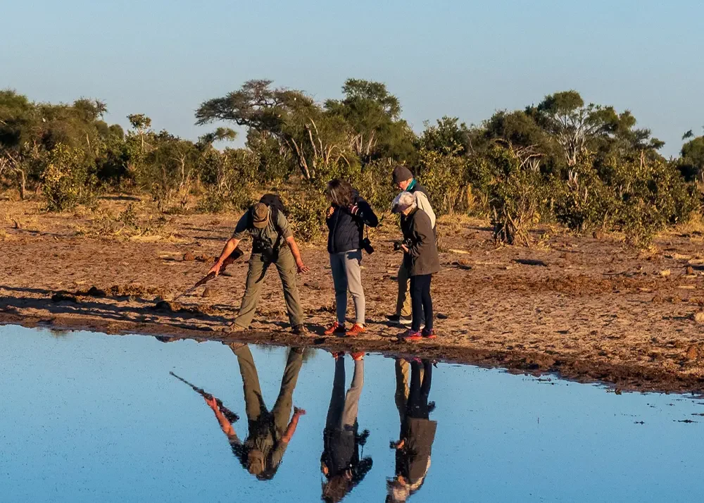 Khwai à pied - Transfert vers Khwai & Safari à pied jusqu'à Elephant Pan - Photo du jour