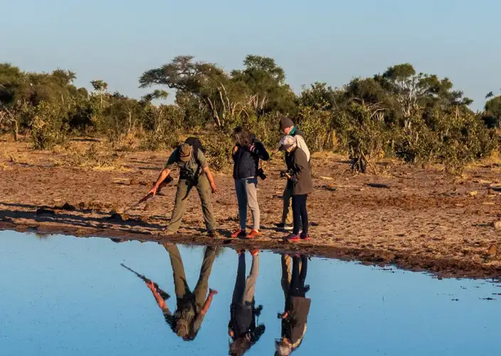 Khwai on Foot - Transfer to Khwai & Walking Safari to Elephant Pan - Photo of the day