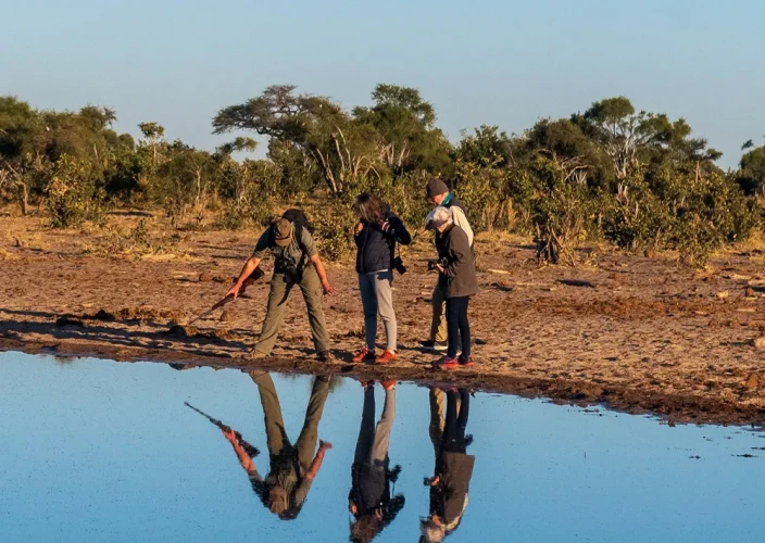 Khwai à pied - Transfert vers Khwai & Safari à pied jusqu'à Elephant Pan - Photo du jour