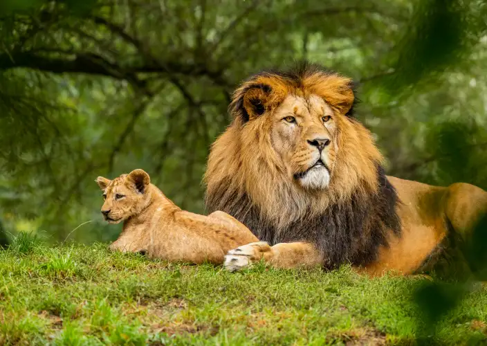 14-tägiges Abenteuer in Ruanda und Uganda - Transfer zum Queen-Elizabeth-Nationalpark – Ishasha-Sektor - Tagesfoto