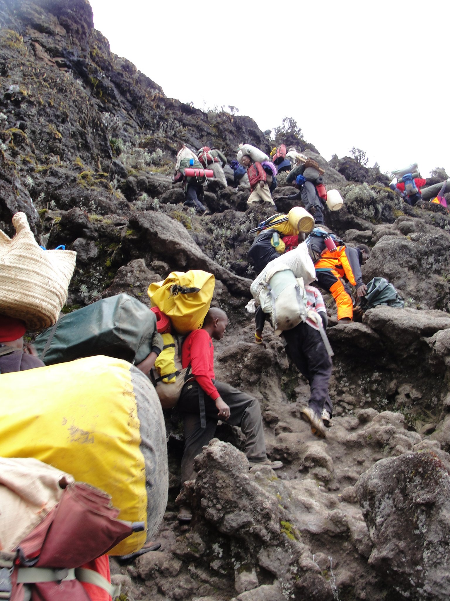 7 Days Mount Kilimanjaro Climbing Machame Route - Machame Camp (3,010m) – Shira Camp (3,845m) - Photo of the day