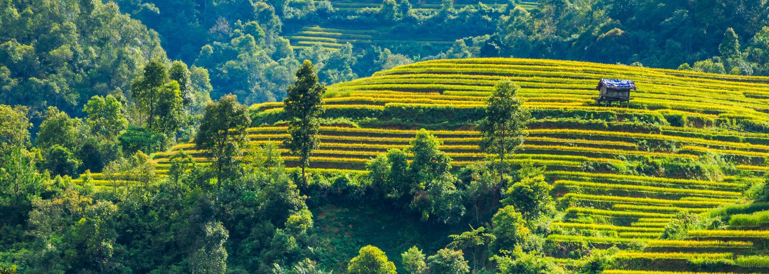 Découverte ludique du Vietnam en famille - La baie d'Halong sur terre - à vélo - La baie d'Halong sur terre - en vélo