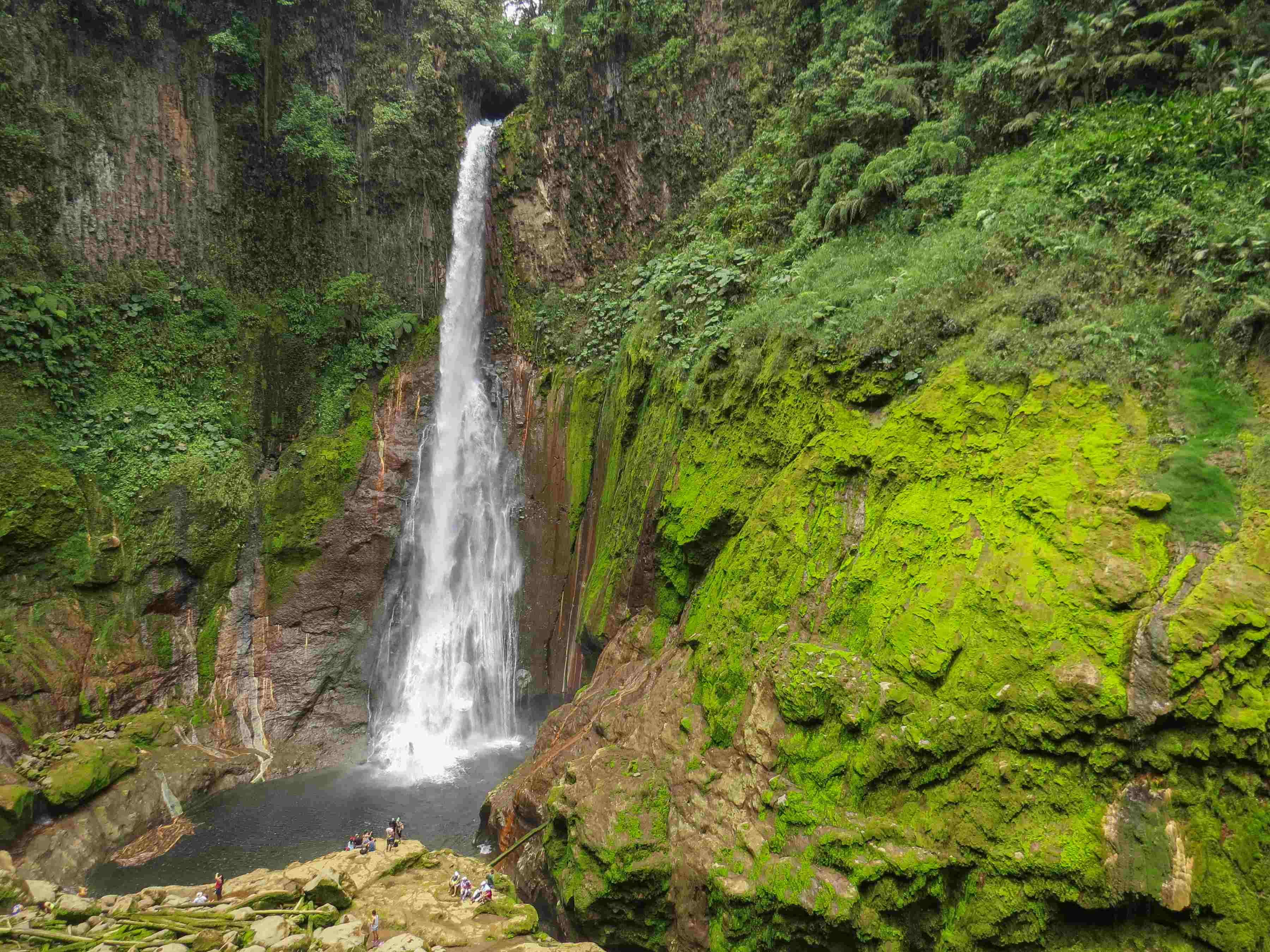 Gran Tour en el país del oro verde - Alajuela - Bajos del Toro (1h30) - Alajuela - Bajos del Toro (1h30)