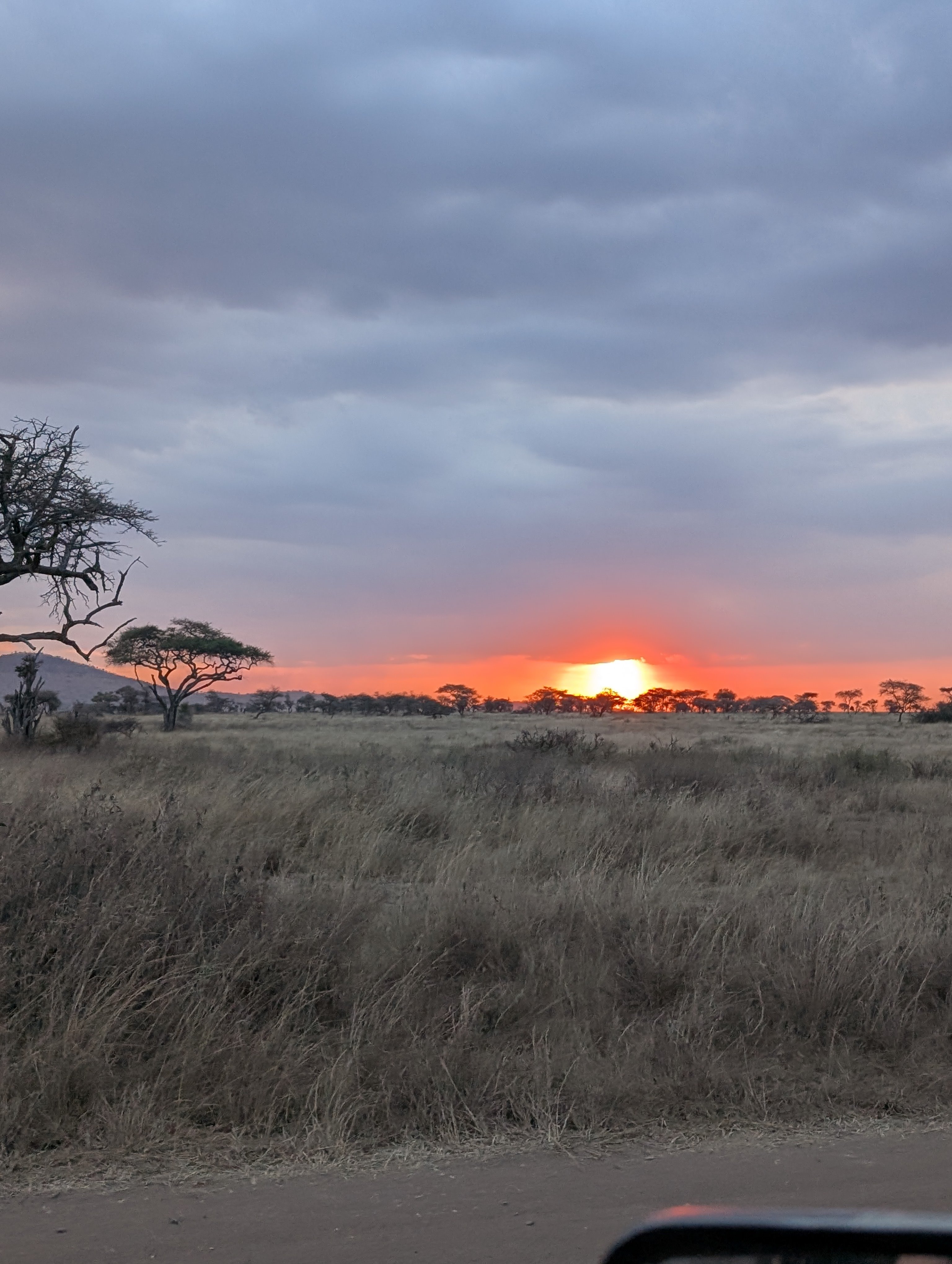 Budget-Safari und authentisches Abenteuer: Entdecken Sie ganz Tansania - Ganztägige Pirschfahrt Serengeti - Tagesfoto