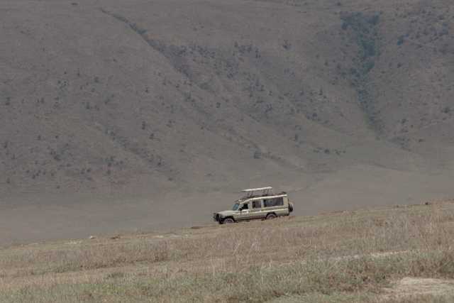 Escapade de lune de miel de luxe : Safari de 5 jours