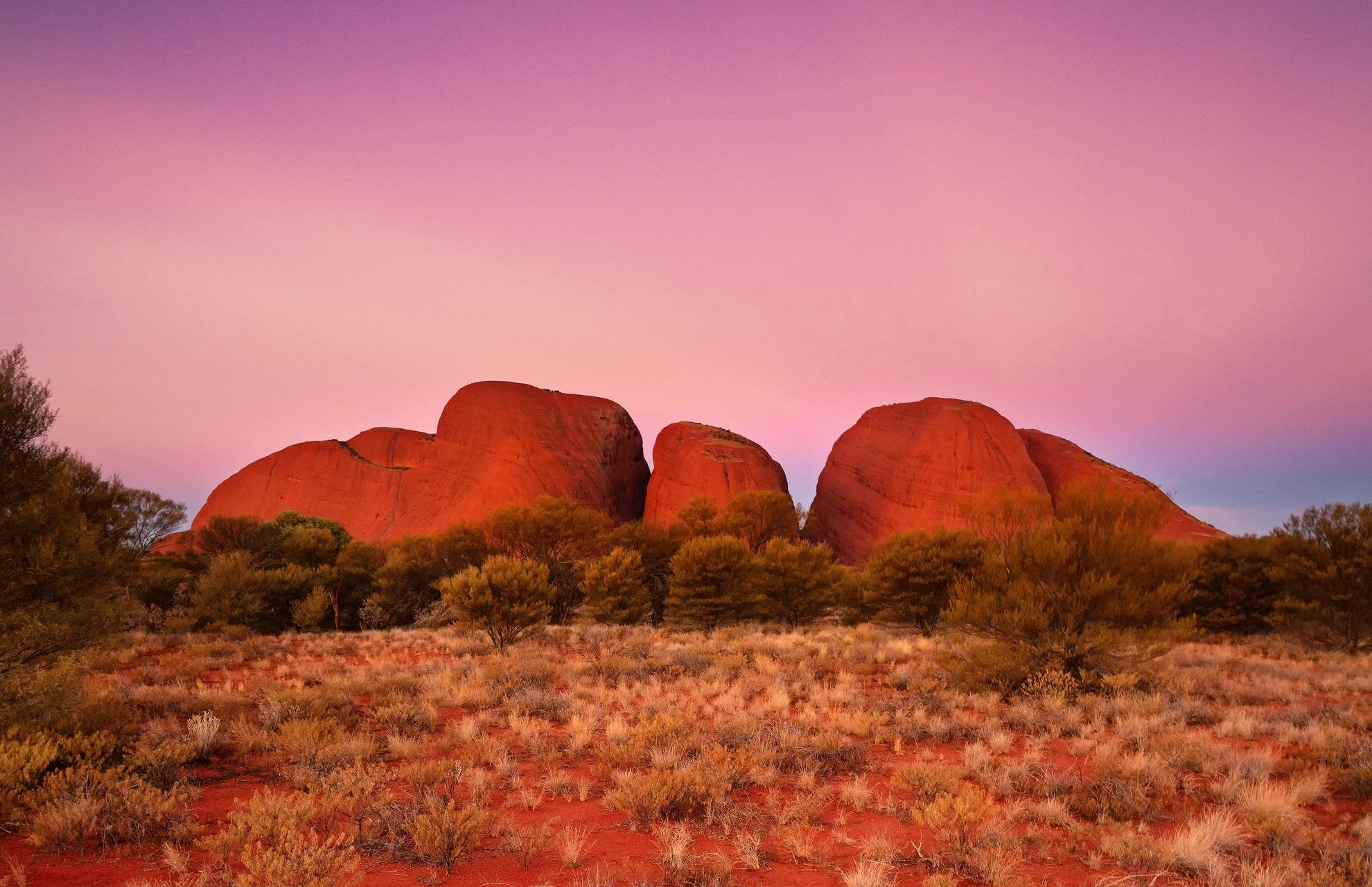 Location de camping-car - Adélaïde - Parc national d'Uluru-Kata Tjuta - Photo du jour