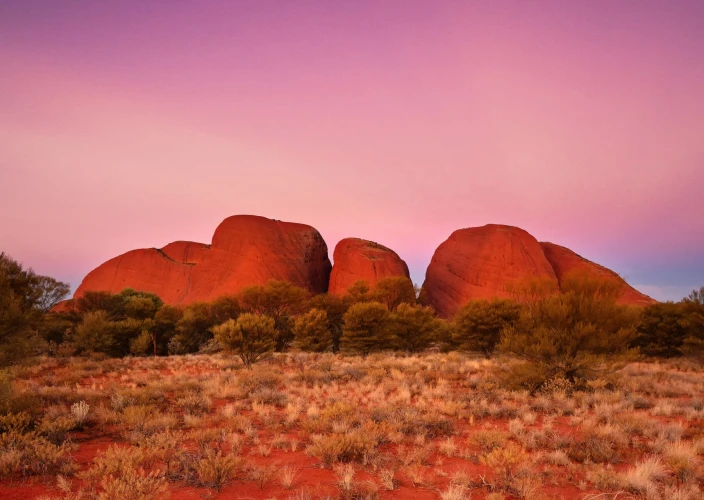 Campervan Hire - Adelaide - Uluru/Kata Tjuta National Park - Photo of the day