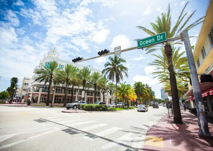 Sotto il sole della Florida - Ritorno a Miami - Foto del giorno