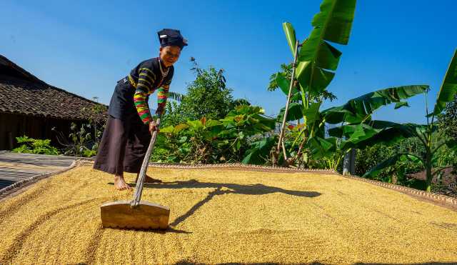 Viaggio in moto in Vietnam in 15 giorni: 1 568 km su Royal Enfield Himalayan o Scram 411 cc.