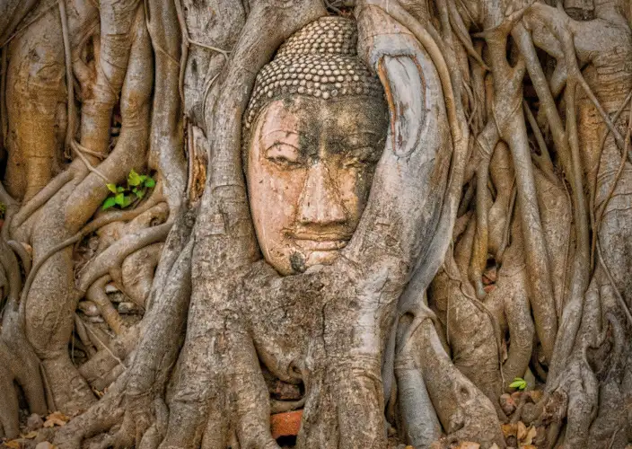 Thailand: essentials en jungles van Kanchanaburi - AYUTTHAYA – CHIANG MAI. Bezoek aan de tempels van Ayutthaya en vlucht naar Chiang Mai - Foto van de dag