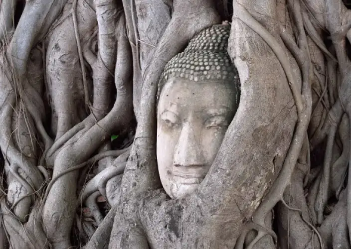 Das Wesentliche von Thailand — Gruppenreise - Bangkok - Ayutthaya - Pitsanuloke - Tagesfoto