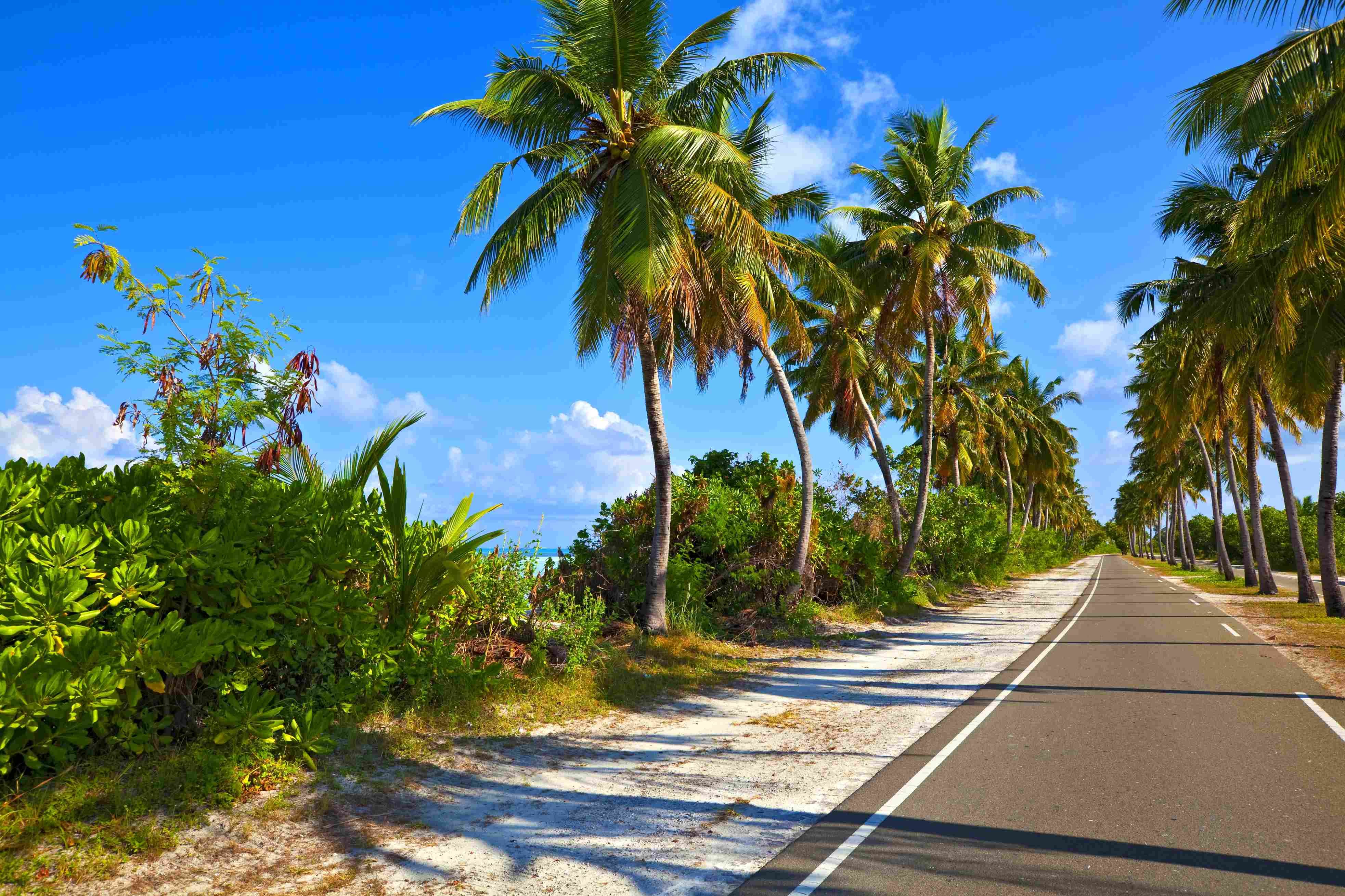 Kurumba Maldives 5 - Bungalow Deluxe - Bungalow Deluxe