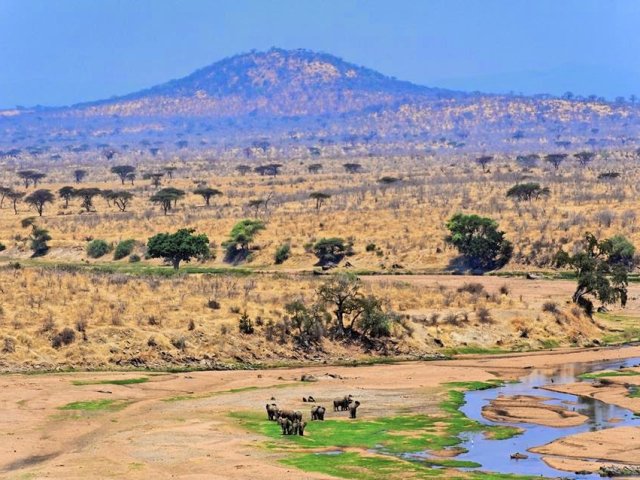 Explorez les paysages variés et la faune des trésors cachés de la Tanzanie