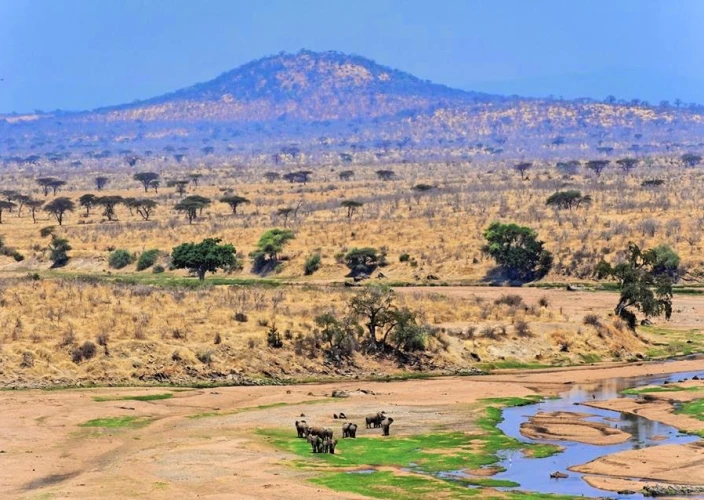 Explorez les paysages variés et la faune des trésors cachés de la Tanzanie - Safari en voiture dans le parc national de Ruaha - Photo du jour