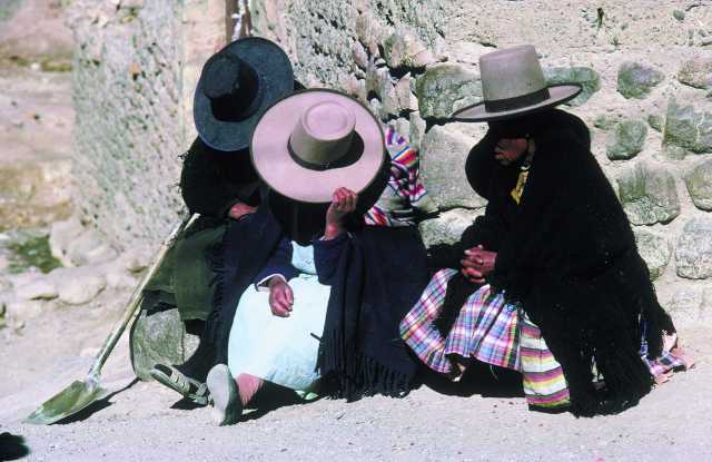 Caravana andina: travesía de los Andes al ritmo de las mulas del Altiplano.