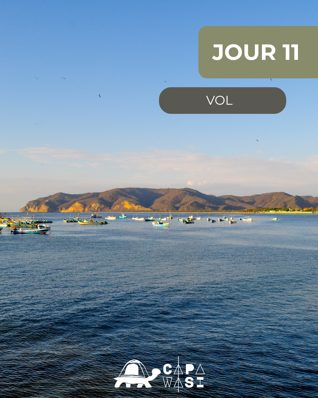 The Great Crossing of the Equator - in a small French-speaking group - Day 11 - SATURDAY - International flight or extend the adventure - Photo of the day