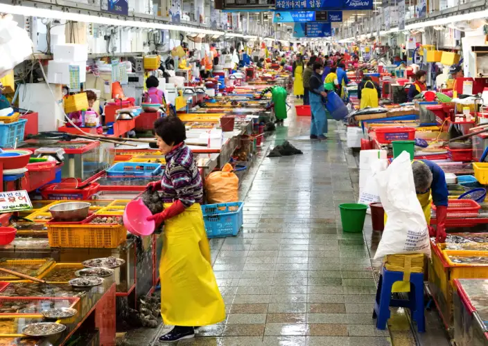 A essência da Coreia: Seul, Gyeongju, Busan e Jeju - Busan – Arte, mercados e paisagens marinhas - Foto do dia