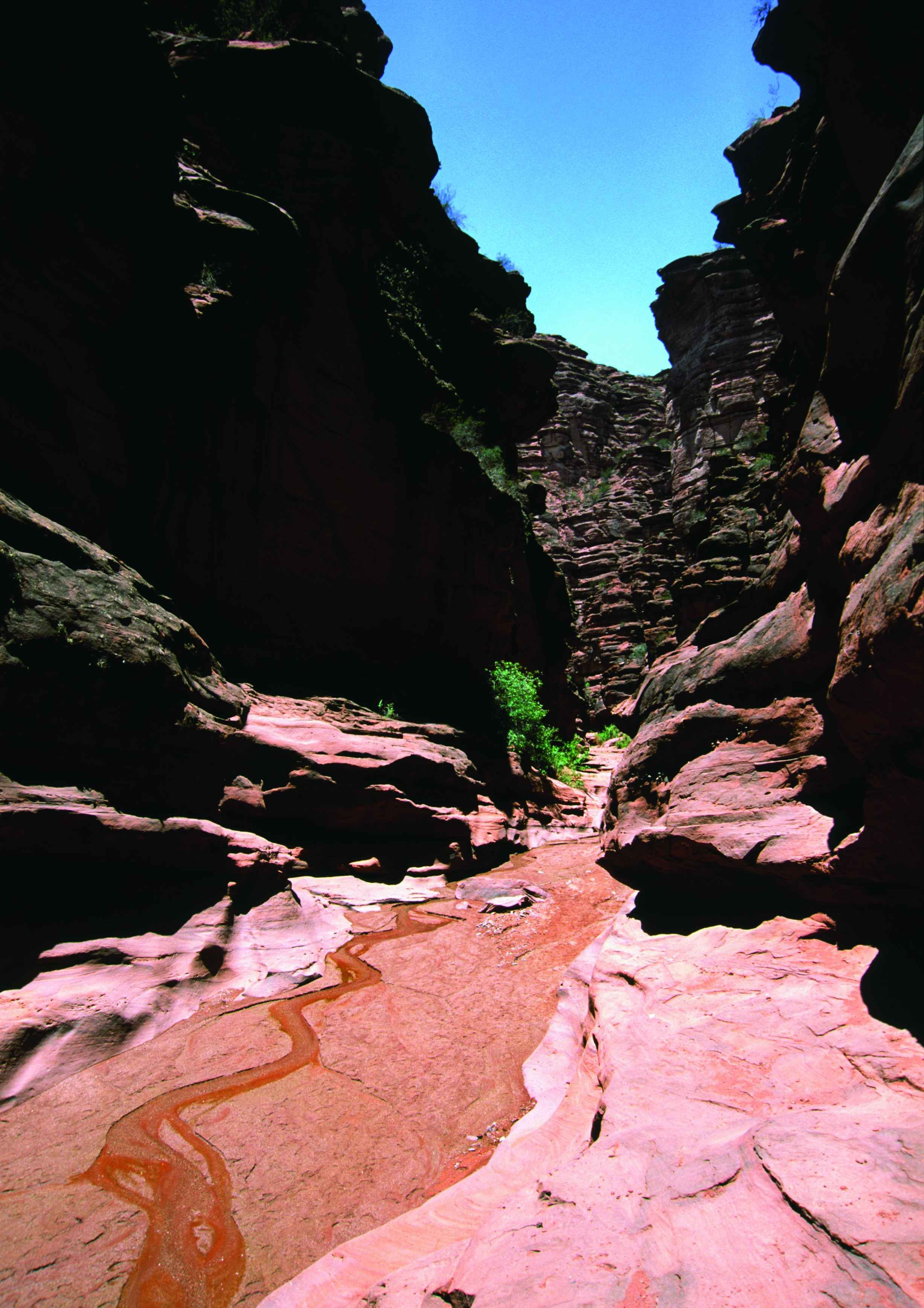 Reis over de mythische route 40: van Mendoza naar Salta - Barreal - Villa Unión - Barreal - Villa Unión