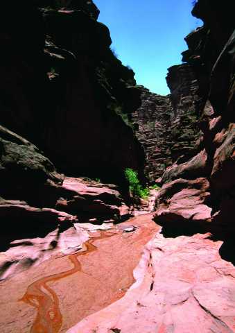 Parcourez la mythique route 40 : de Mendoza à Salta