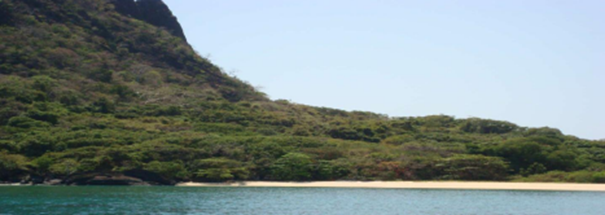 El Norte: de lo clásico a lo auténtico - Marimbe - Ankarea - Marimbe - Marimbe - Ankarea - Marimbe