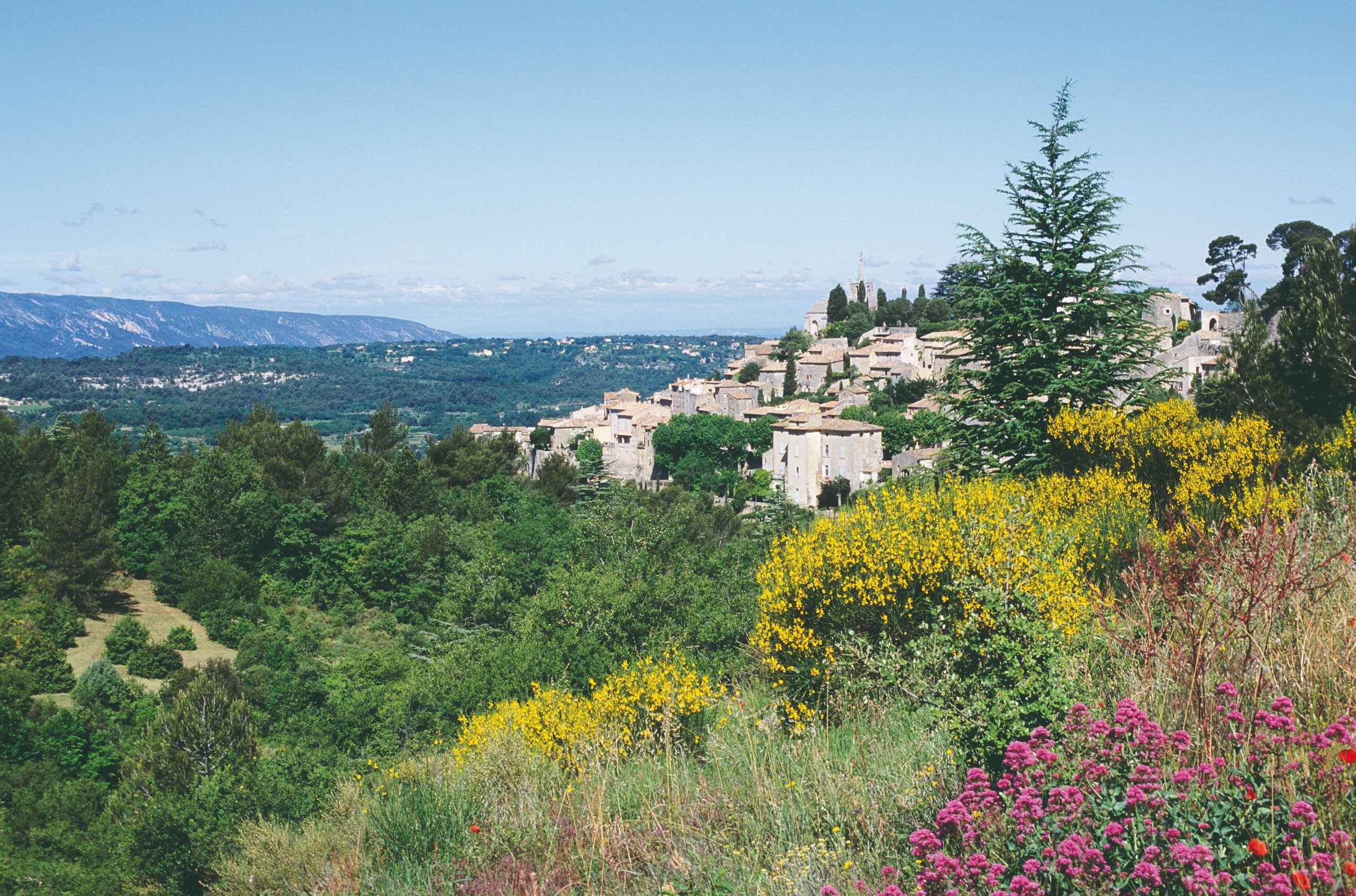 Réveillon provençal dans le Luberon - Bonnieux - Lumières - Bonnieux - Lumières