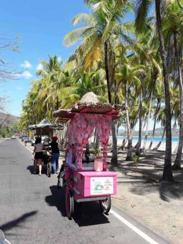 Familieavontuur in het land van het groene goud!