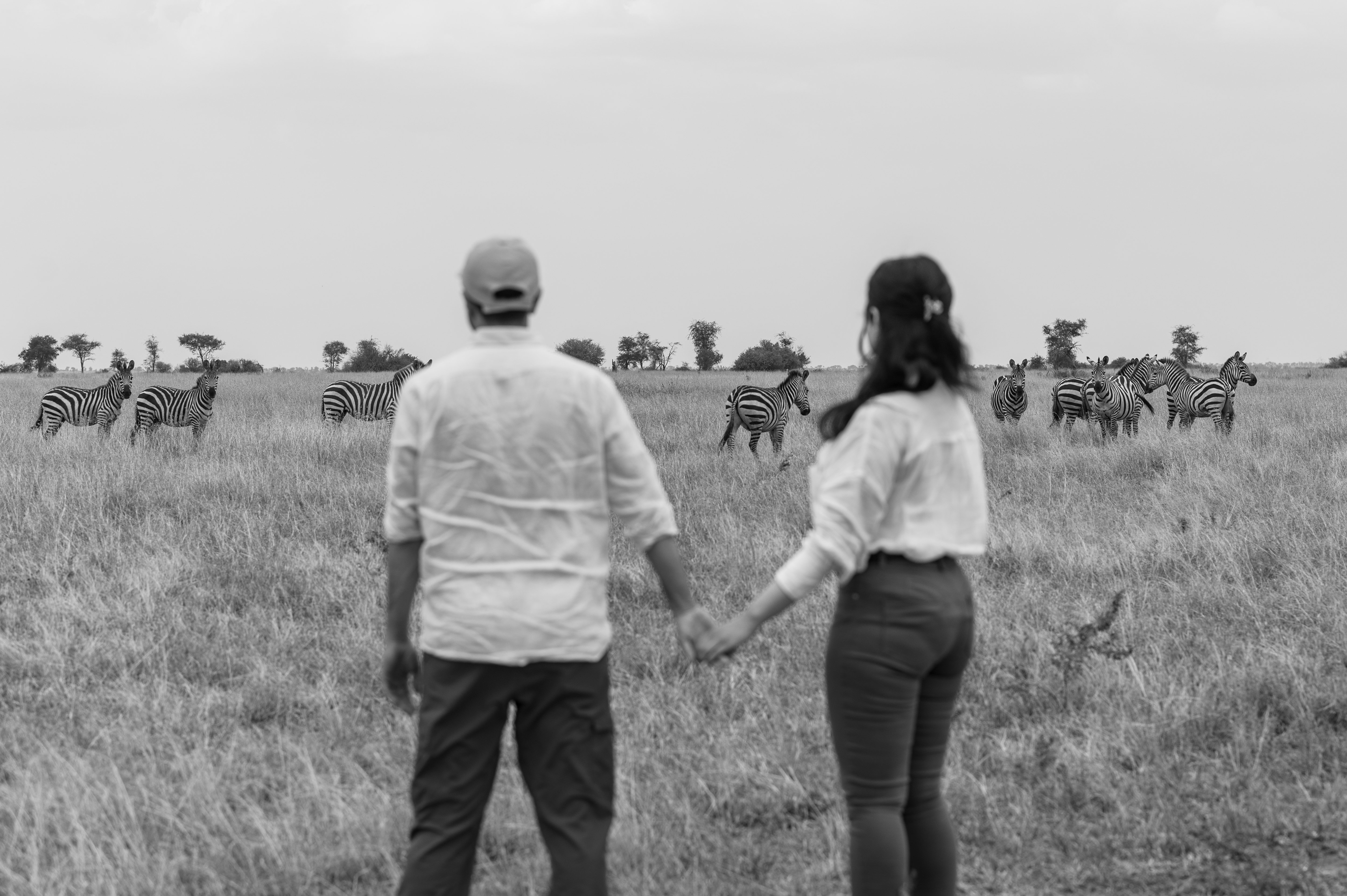 The Classic Northern Circuit Safari Experience - Ngorongoro Crater to Arusha Airport - Photo of the day