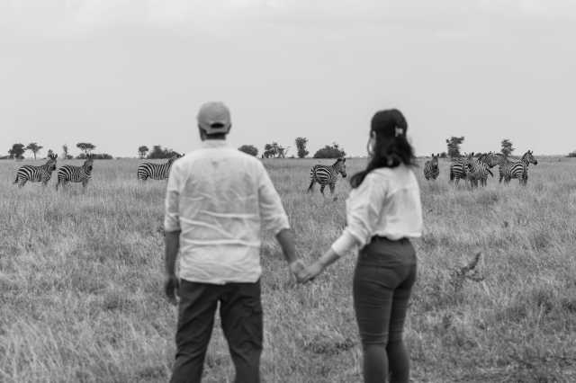 The Classic Northern Circuit Safari Experience