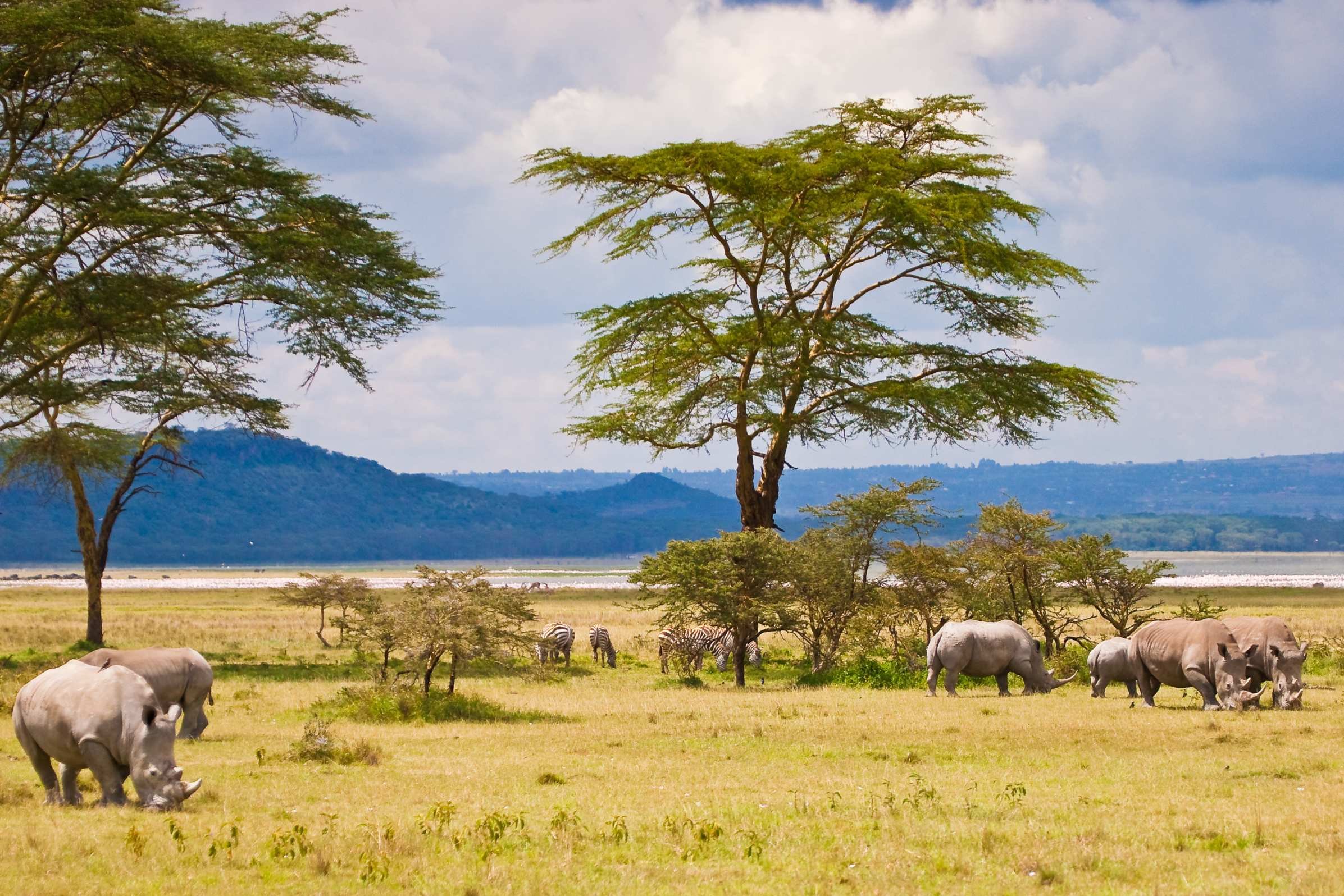 Kenya Wildlife and Scenic Safari - Lake Naivasha - Hell's Gate National Park - Lake Naivasha - Hells Gate National Park