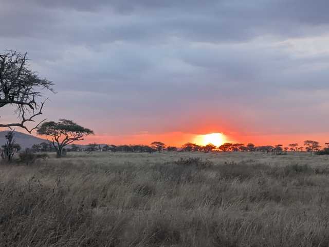 13 jours en Tanzanie et à Zanzibar : un excellent rapport qualité-prix