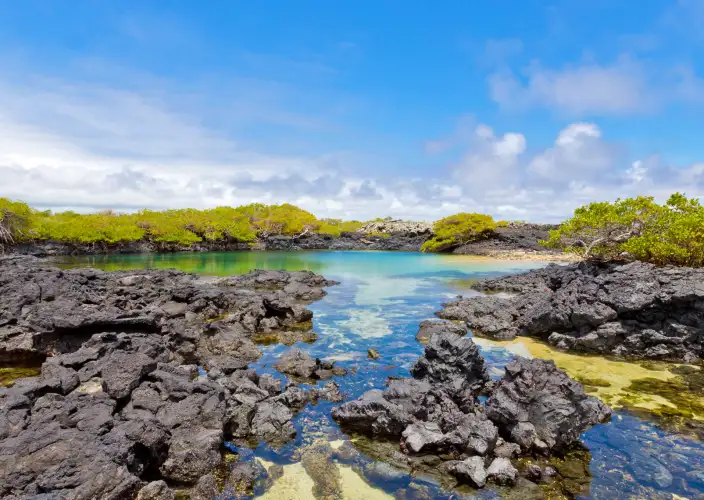Galápagos von Insel zu Insel - null - Tagesfoto