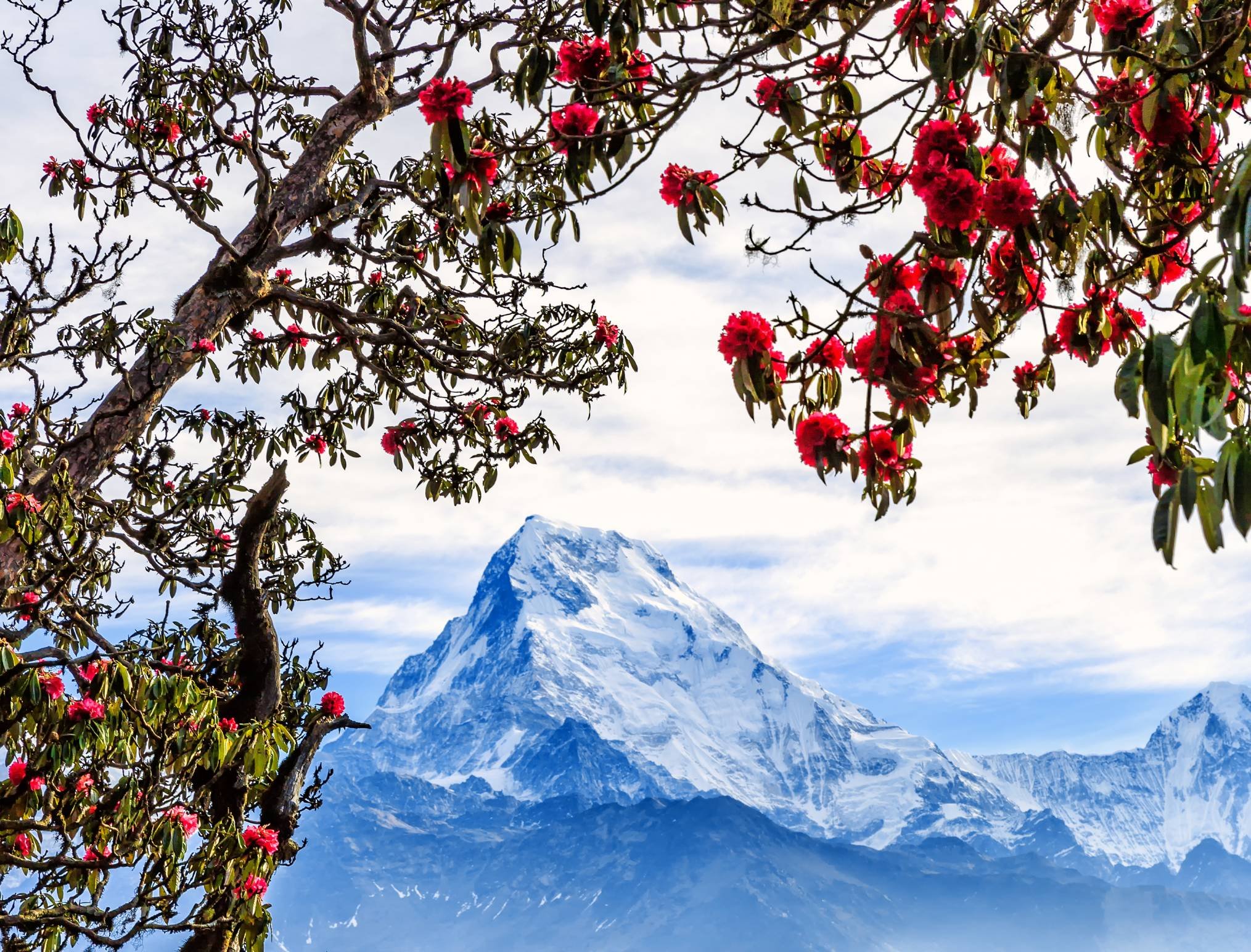 Trekking al campamento base del Annapurna - Trek hasta Nayapul y ruta hacia Pokhara - 8 horas - Trek jusqu'à Nayapul et route vers Pokhara - 8 heures