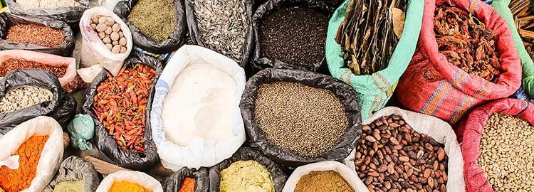 The Ecuadorian classics - Otavalo Market, Andean villages and Lake Cuicocha - Marché d'Otavalo, villages andins et lac Cuicocha