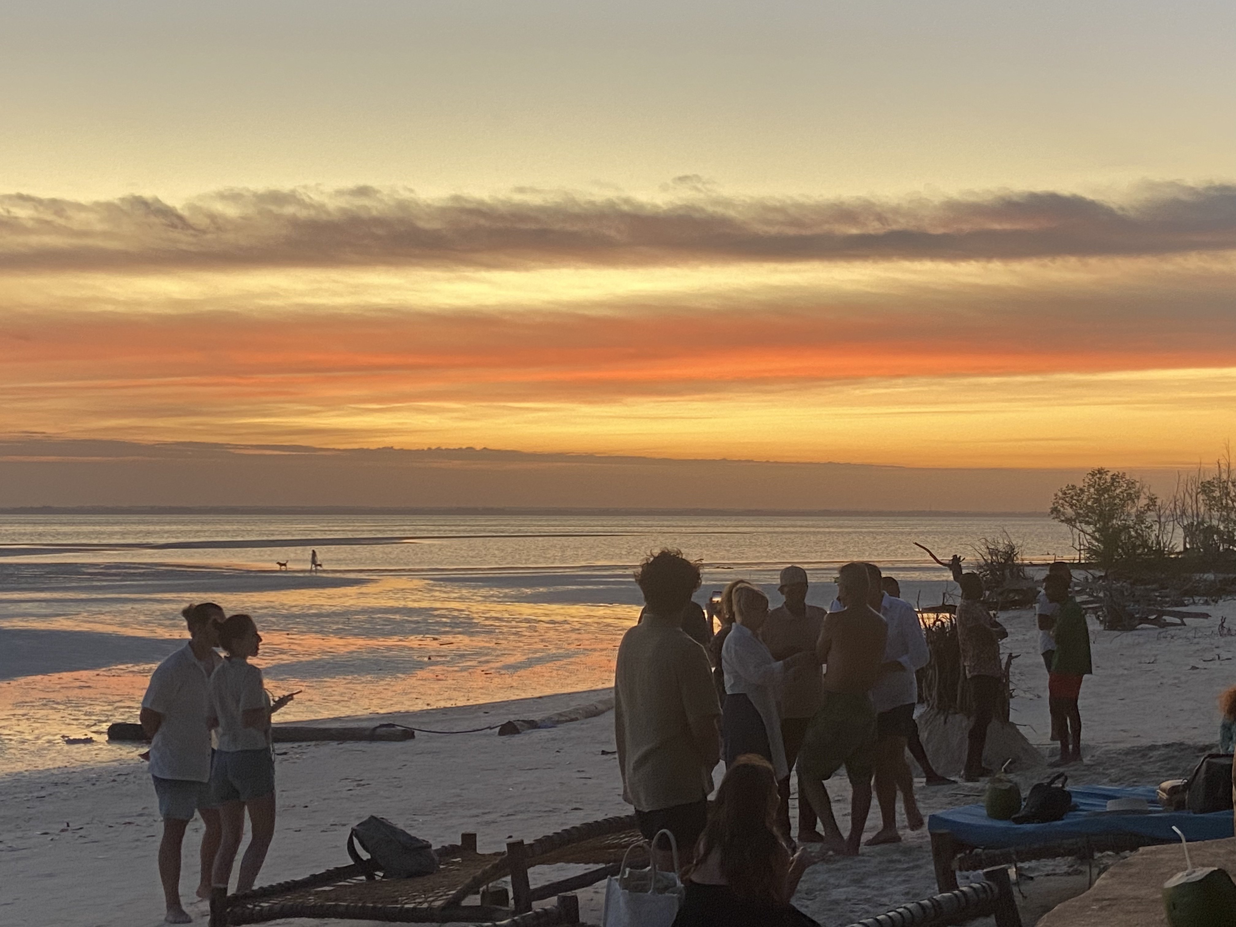 12-daagse safari, lokale levensstijl & Zanzibar all-inclusive - Zanzibar Vakanties - Foto van de dag