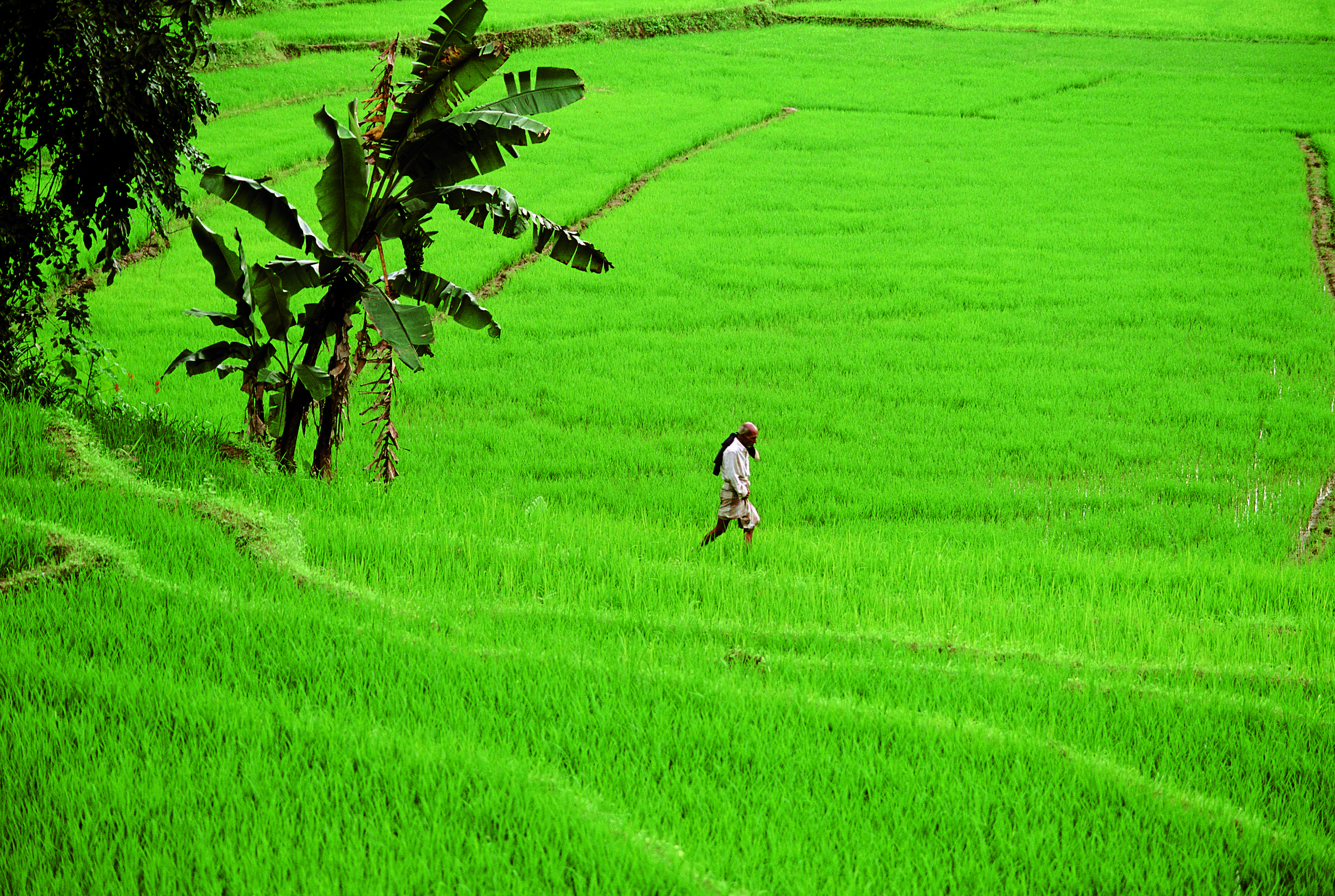 SUPER PROMO - CÔTE EST - ÉTÉ 2021 - Kandy - Passikudah - Kandy - Passikudah