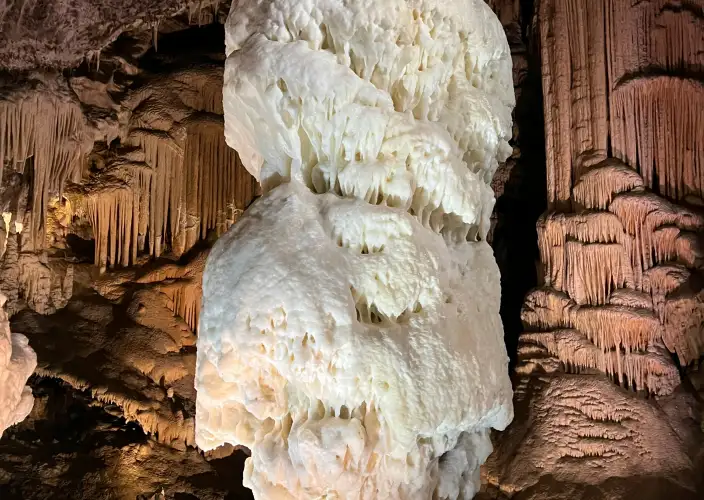 Explora lo Mejor de Eslovenia – Itinerario de 5 Días - null - Foto del día